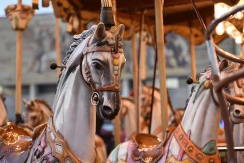 Close up of a Carousel horse placed in the center of Tirana, Albania. Stock Photos