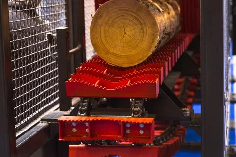 Close-up of a carpenter using a circular saw to cut a large board of wood Stock Photos