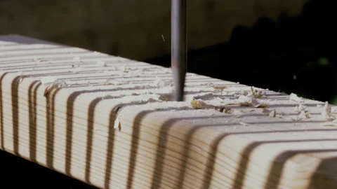Close-Up Carpentry: Drilling and Sawing in Sunlight Video stock 307938942