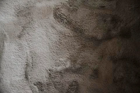 Close up on carpet background or texture, top view 写真素材