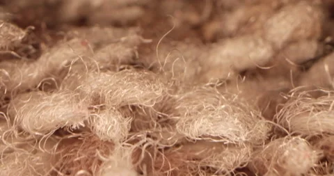 Close up of Carpet Stock Footage 135498408