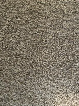 Close Up of Carpet Texture with Neutral Tones Stock Photos