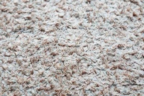 Close up the Carpet Texture Stock Photos