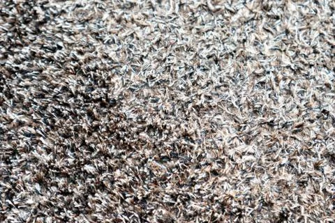 Close up the Carpet Texture Stock-Fotos