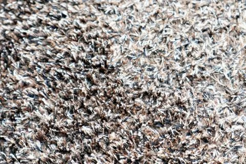 Close up the Carpet Texture Stock Photos