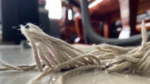 Close up on carpet thread. Maid cleaning dust on carpet floor low angel view Stock Footage 281640320