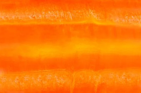 Close up of carrot cross section Stock Photos