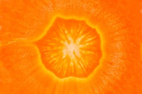 Close up of carrot slice Stock Photos