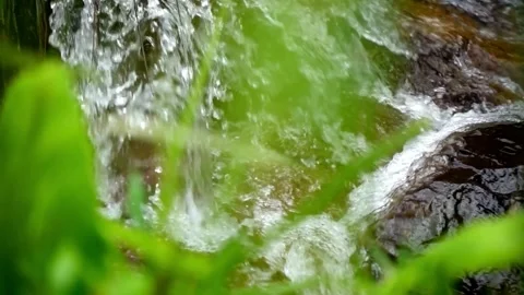 Close-up of Cascading Water in a Rocky Stream Bed 動画素材 309546826