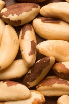 Close-up on Castanha do Para 스톡 사진