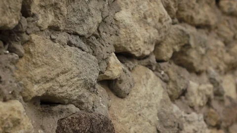 Close up of castle wall Stock Footage 70362083
