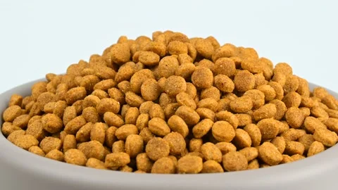 Close-up cat or dog kibble food in bowl on rotating stand Stock Footage 164532681