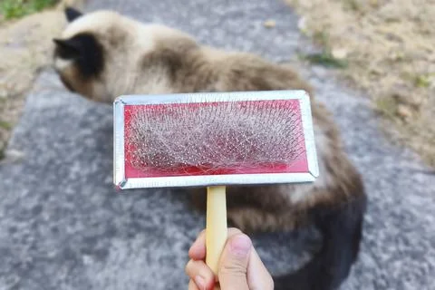 A close-up of a cat slicker brush with residual hair after brushing Stockfoto's