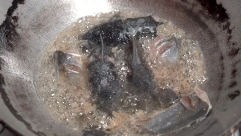 Close-up of catfish being fried in a pan. Stock Footage 329561556