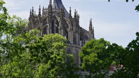 Close-Up of Cathedral Details Through Summer Foliage Stock Footage 313880893