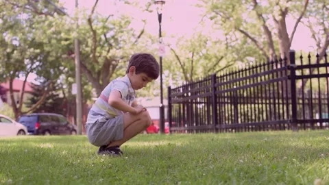 Close up Caucasian little boy using Digital Tablet sitting on the grass outdoors Video stock 211403362