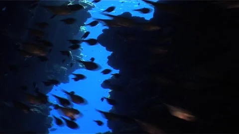 Close Up Of Cave, Underwater Shot Stock Footage 300060011