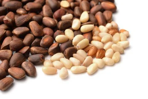 Close up of cedar nuts Stock Photos