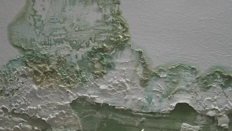 Close-up of a ceiling with extensive water damage, peeling paint, and mold Video stock 300485506