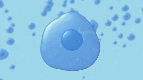 Close-up of a cell under a microscope Stock Footage 281929959