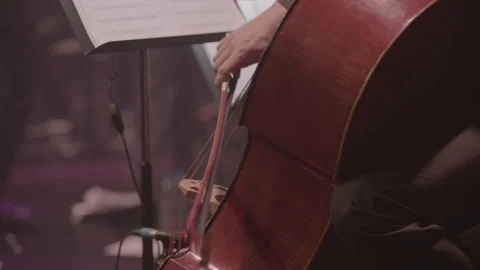 Close-Up of Cellist Playing Cello During Concert, Slog3 Stock Footage 326777820