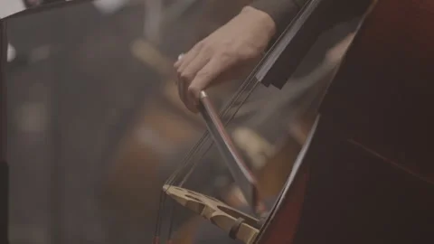 Close-Up of Cellist Playing Cello During Concert, Slog3 Stock Footage 326777844