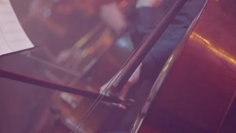 Close-Up of Cellist Playing Cello During Concert, Slog3 Stock Footage 326777852
