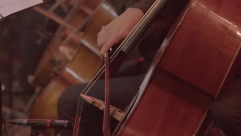Close-Up of Cellist Playing Cello During Concert, Slog3 Stock Footage 326777883