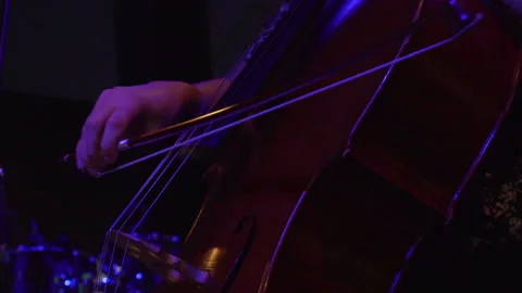 Close-up of cellist playing on stage Video stock 146953205