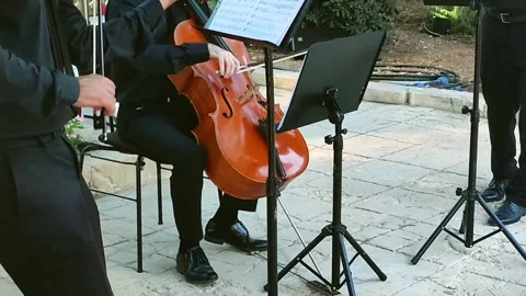 Close-up of a cello being played in a classical music stringed trio Stock Footage 250553469