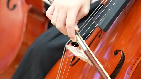 Close-up of cello bow on strings near bridge 動画素材 339158566