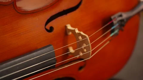 Close up of cello bridge and strings on wooden instrument 库存影片 347813760