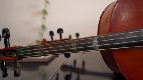 Close up of cello neck and scroll in a room Video stock 347813814