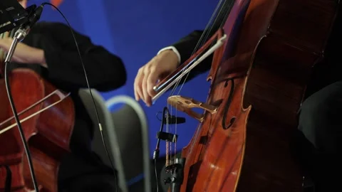 Close-up cello player's hands playing live on stage. Stock Footage 319480070