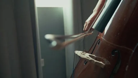 Close Up of Cello Playing, hand holding cello bow on Strings , 6K Footage Stock Footage 325463483