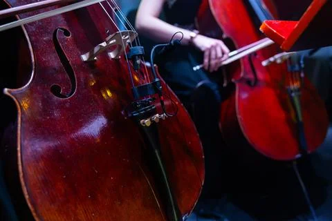 Close-up of Cellos Performance with Professional Microphone During Symphony.. Stock Photos