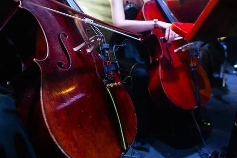 Close-up of Cellos Performance with Professional Microphone During Symphony.. Stock Photos