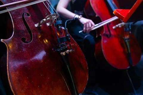 Close-up of Cellos Performance with Professional Microphone During Symphony.. Stock Photos