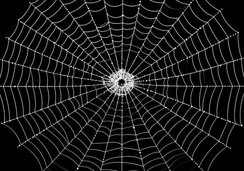 Close-up of a centered white spider web isolated on a black Stock Photos