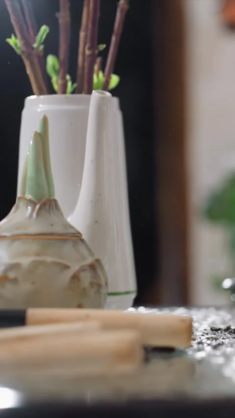 Close up of ceramic vase with emerging plant sprout and gardening tools with Stock Footage 346789084
