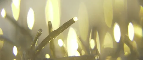 Close-up of chain Christmas lights anamorphic 5.7K video Stock Footage 300865487