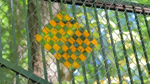 Close up of chain link security fence with out of focus trees Stock Footage 339039592