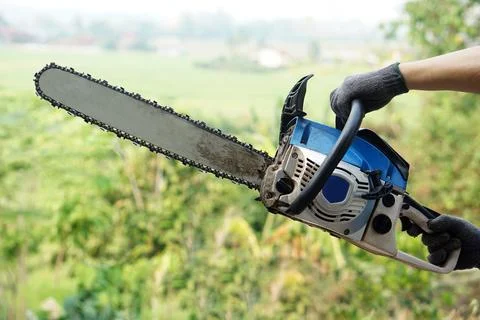 Close-up of a chainsaw held by a worker wearing gloves in a green rural field, r Fotos Stock