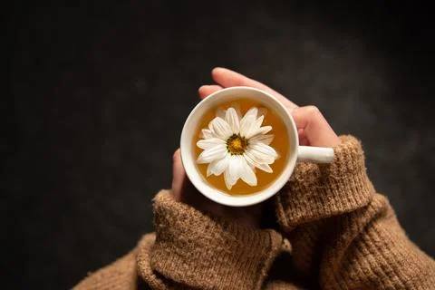 Close-up of chamomile tea with chamomile flower in female hands. Stock Photos