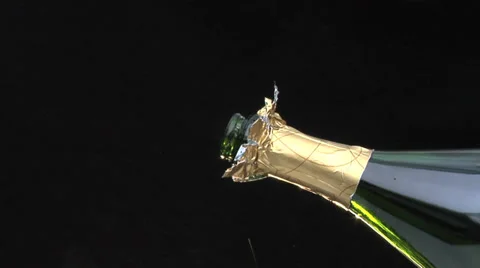 Close up of champagne cork popping, Stock Video