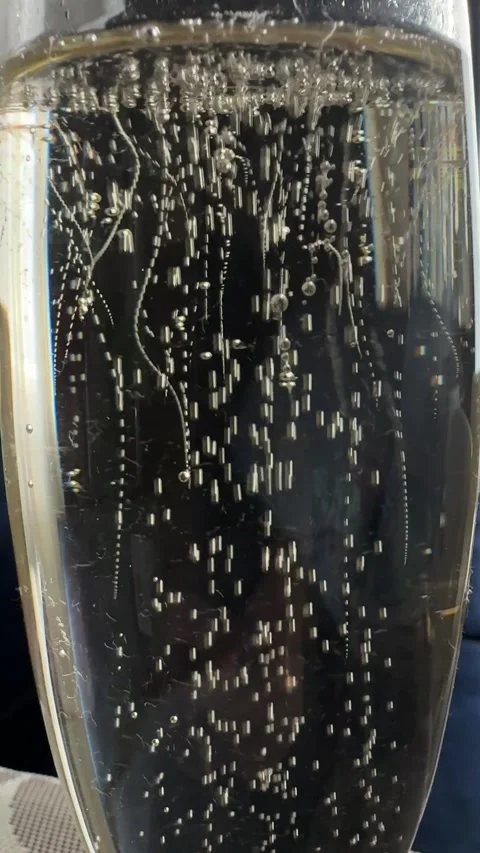 Close up of a champagne flute filled with sparkling wine and rising bubbles. Ele 스톡 동영상 345876162
