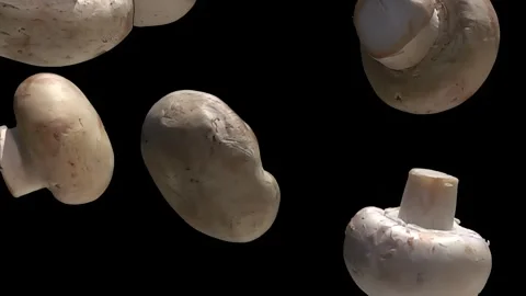 Close-up of the champignon mushrooms falling down on the black background Stock Footage 283466208