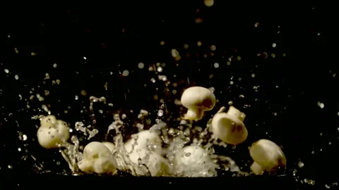 Close-up of champignon mushrooms falling Stock Footage 159922875