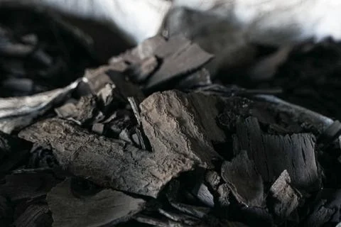 Close up of charcoal ready to pack Stock Photos