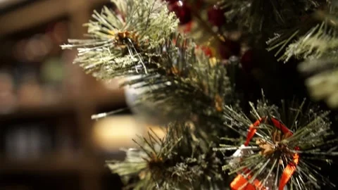 Close up charismas Tokyo tree 스톡 동영상 238504404